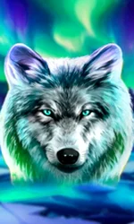 Wolf Fang - Northern Spirits